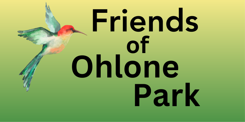 Friends of Ohlone Park